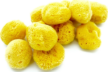 Natural Sea Sponges